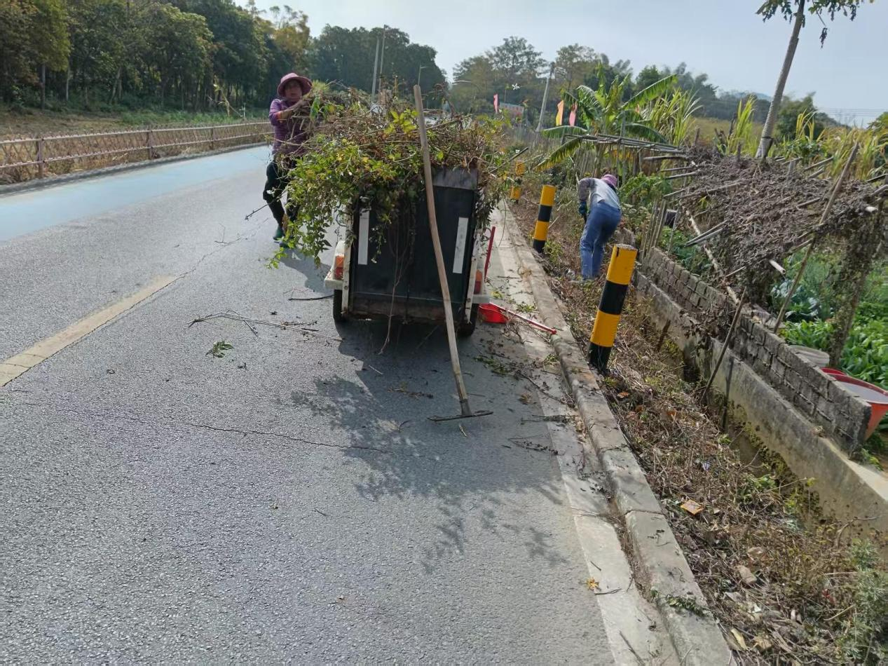 裝車清運(yùn)枯枝雜草.png